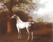Agasse, Jacques-Laurent White Horse in Pasture Sweden oil painting artist